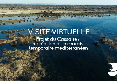 Visite virtuelle du marais du Cassaïre