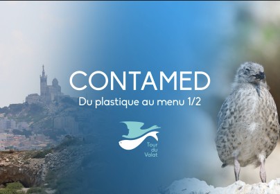 Contamed - Du plastique au menu 1/2