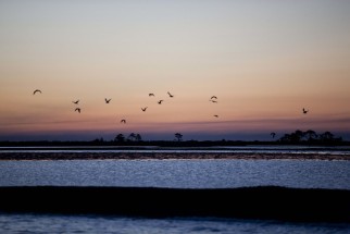 © Selina Feuerstein - Salins du Midi | à usage strictement privé