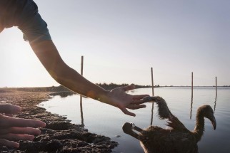 © Selina Feuerstein - Salins du Midi | à usage strictement privé