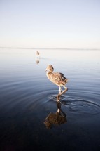 © Selina Feuerstein - Salins du Midi | à usage strictement privé