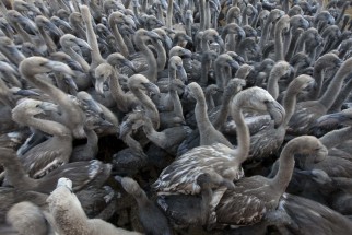 © Selina Feuerstein - Salins du Midi | à usage strictement privé