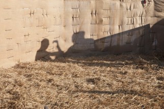 © Selina Feuerstein - Salins du Midi | à usage strictement privé