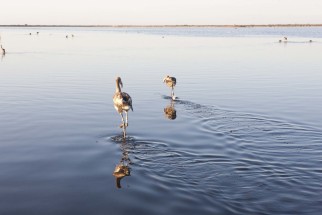 © Selina Feuerstein - Salins du Midi | à usage strictement privé