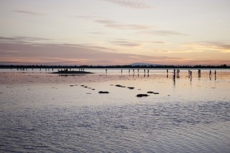 © Selina Feuerstein - Salins du Midi | à usage strictement privé