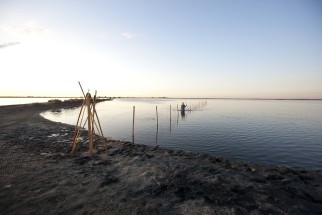 © Selina Feuerstein - Salins du Midi | à usage strictement privé