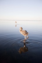 © Selina Feuerstein - Salins du Midi | à usage strictement privé