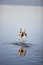 © Selina Feuerstein - Salins du Midi | à usage strictement privé