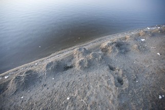 © Selina Feuerstein - Salins du Midi | à usage strictement privé