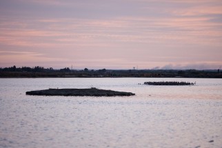 © Selina Feuerstein - Salins du Midi | à usage strictement privé