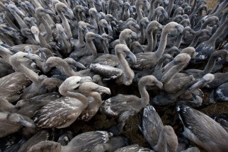 © Selina Feuerstein - Salins du Midi | à usage strictement privé