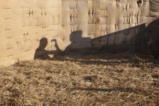 © Selina Feuerstein - Salins du Midi | à usage strictement privé