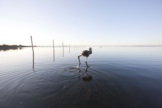 © Selina Feuerstein - Salins du Midi | à usage strictement privé