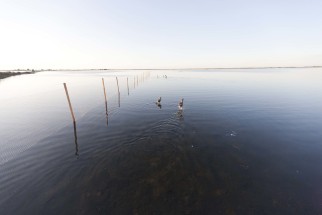 © Selina Feuerstein - Salins du Midi | à usage strictement privé