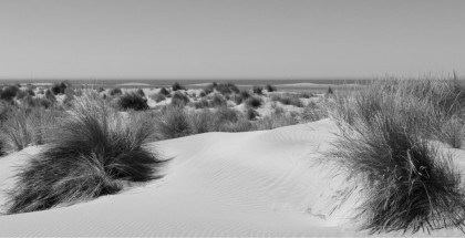 Dunes de Camargue, France