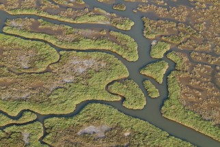 Gediz Delta, Turkey