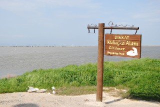 Delta du Gediz, Turquie 
