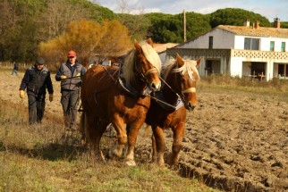 Agroécologie sur le domaine du Petit Saint-Jean