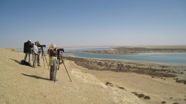 Comptage d'oiseaux d'eau sur le lac Wadi El Rayan (Egypte ) dans le cadre du projet ROEM
