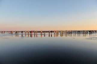 Baguage des flamants roses sur l’étang du Fangassier, Camargue, France