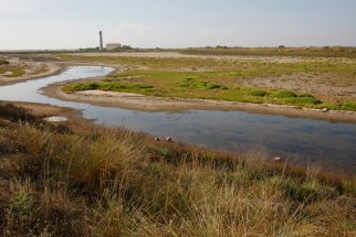 Phare de Beauduc, Camargue, France