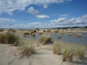 Pointe de l'Espiguette, Camargue, France