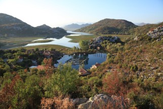 Lac Skadar, Monténégro