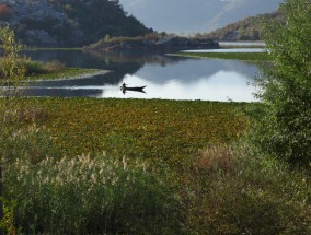 Pêche sur le Lac Skadar, Monténégro