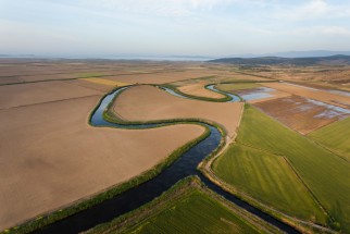 Agriculture dans le delta du Gediz, Turquie 
