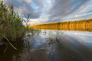 Delta du Gediz, Turquie