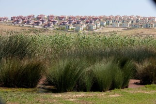 Anthropisation dans le Delta du Gediz