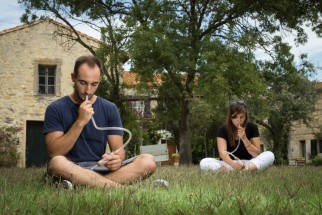 Mosquito control: "calf test" in the village of the Sambuc, France
