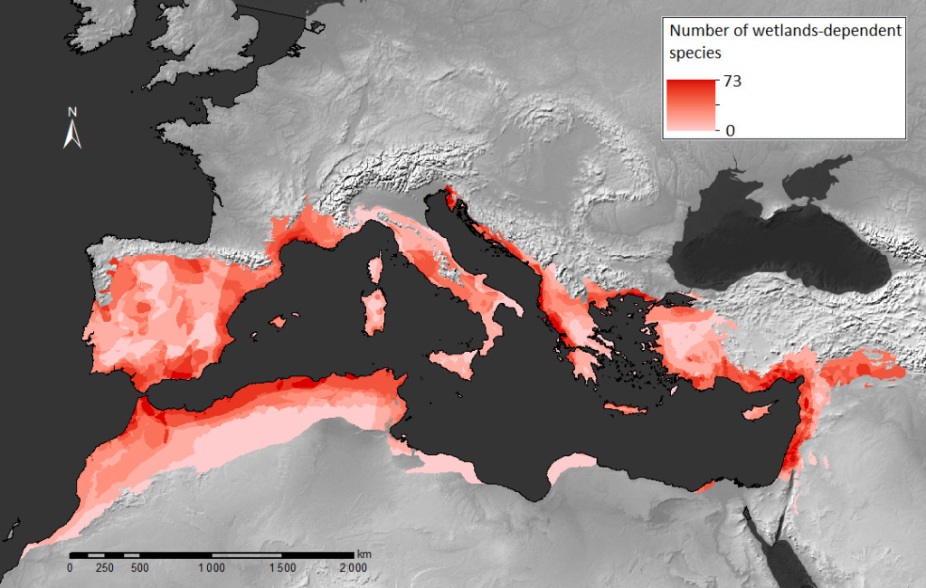 État De Conservation De La Biodiversité Dans Le Bassin Méditerranéen ...