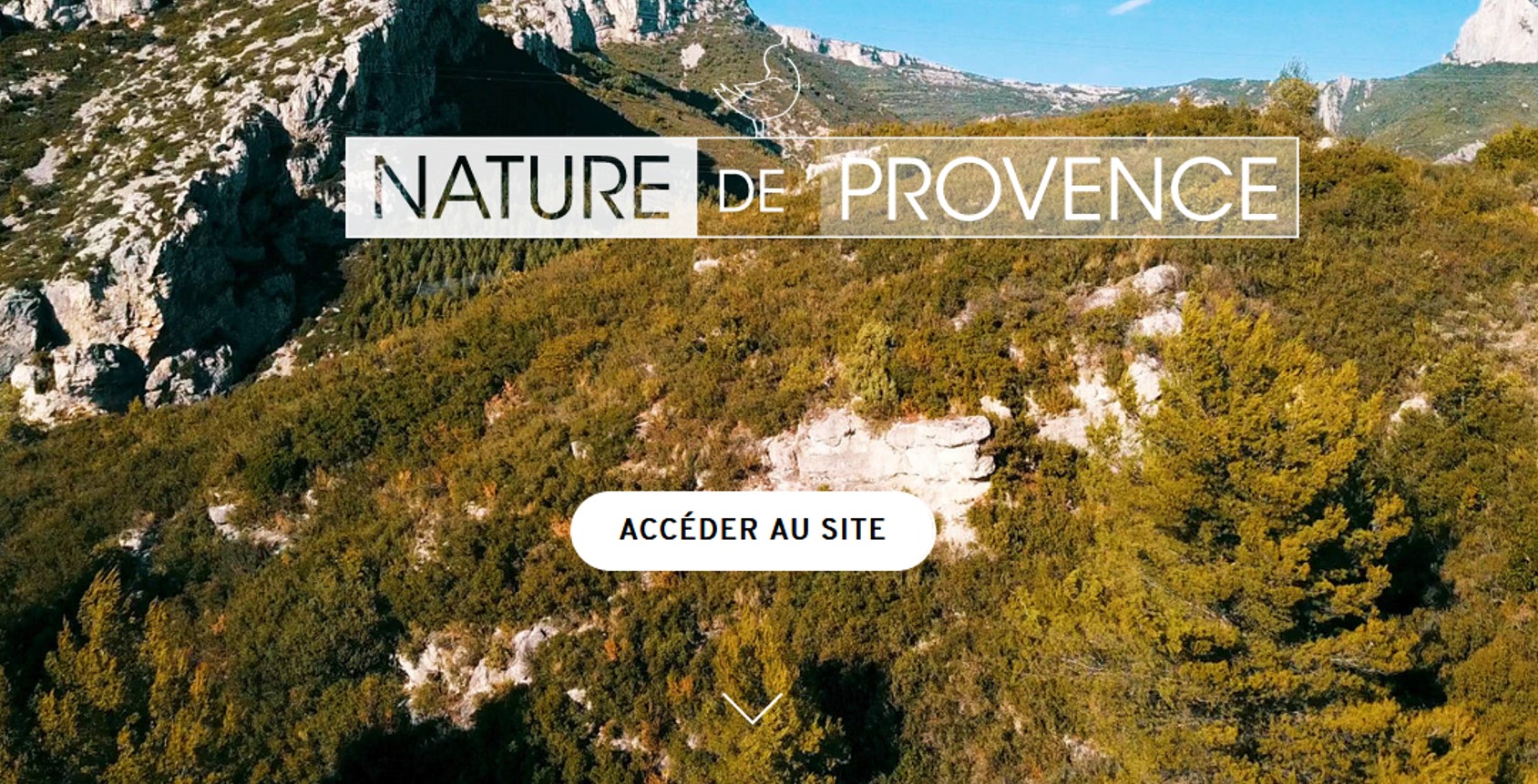 klinge Secréte side Nature de Provence, a website to discover the biodiversity and environments  of the Bouches-du-Rhône region - Tour du Valat