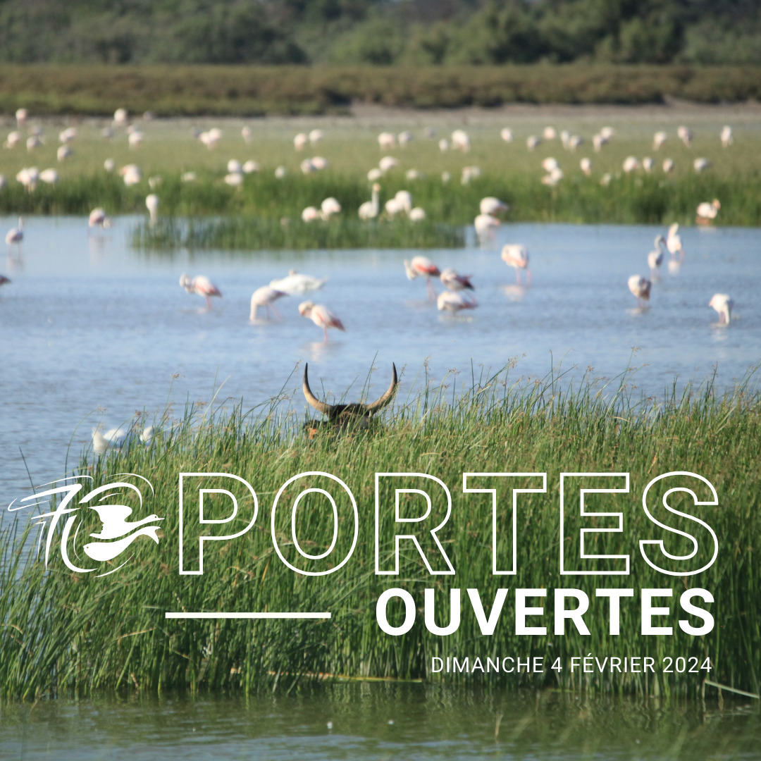 Valat Portes ouvertes à la Tour du Valat le dimanche 4 février 2024 – Tour du ...