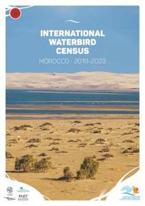 Couverture du rapport Dénombrements internationaux des oiseaux d'eau du Maroc (2019-2023)