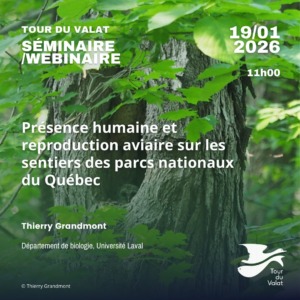 Le visuel servant de fond, montre un érable au feuillage vert et dense, abritant dans son tronc une chouette dont la tête dépasse.