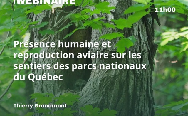 Le visuel servant de fond, montre un érable au feuillage vert et dense, abritant dans son tronc une chouette dont la tête dépasse.