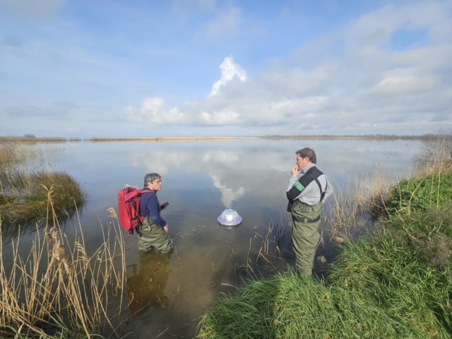 Au bord d'une zone humide deux hommes habillés de waters effectuent des prélèvements dans l'eau.